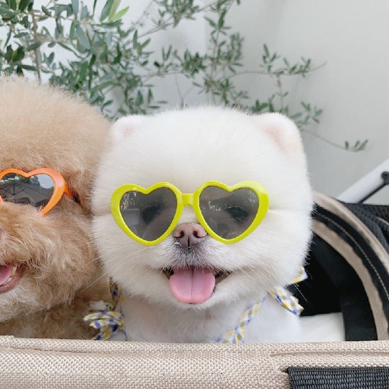 Fur shades