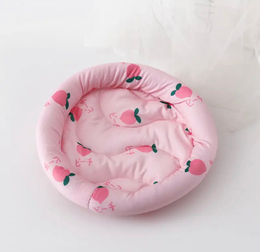 Strawberry cage bed