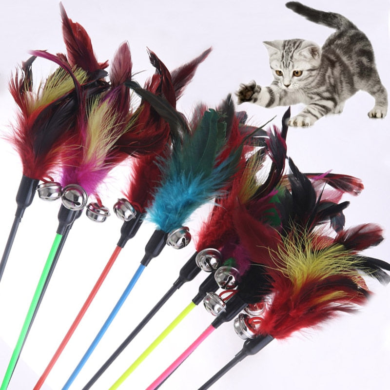 Cat toy