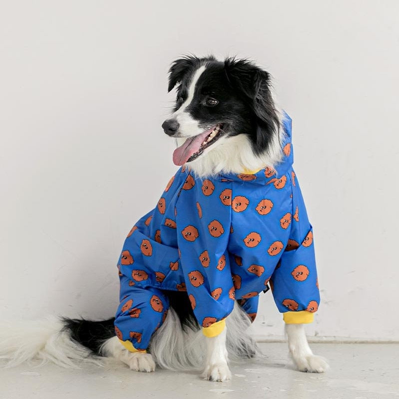 Raincoat